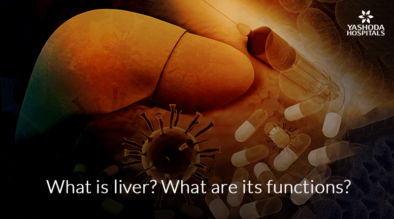 What is liver? What are its functions?