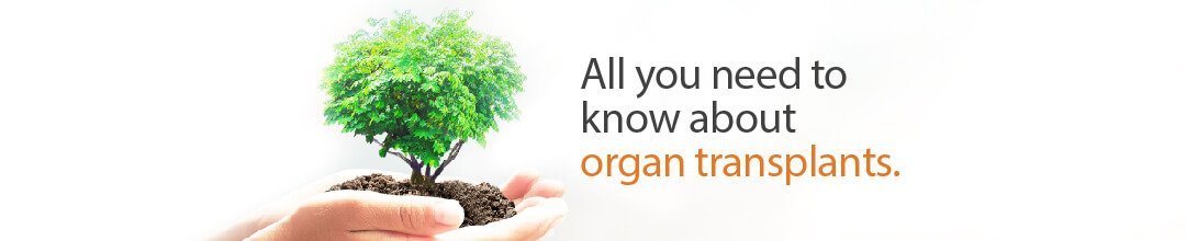 organ transplant-banner