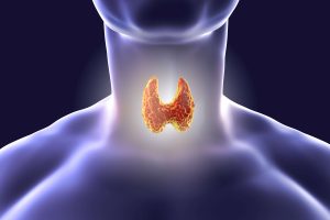 thyroid-symptoms-causes-treatments