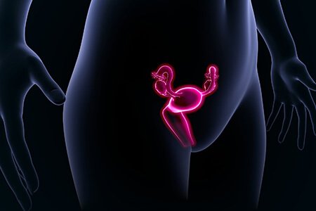 what is hysterectomy or uterus removal